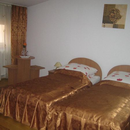 Pensiunea Nane Sibiu Ngoại thất bức ảnh