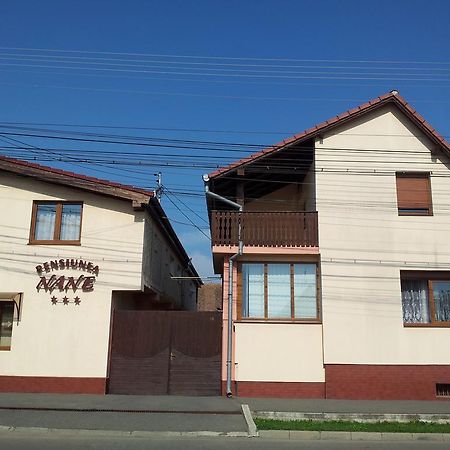 Pensiunea Nane Sibiu Ngoại thất bức ảnh