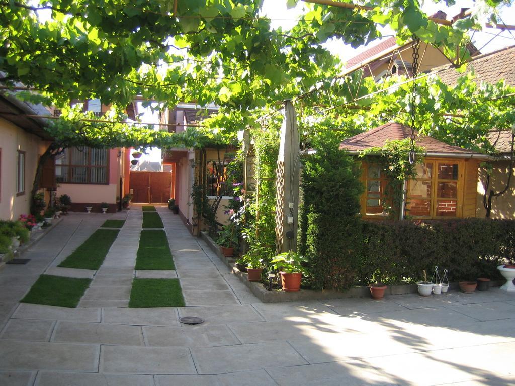 Pensiunea Nane Sibiu Ngoại thất bức ảnh